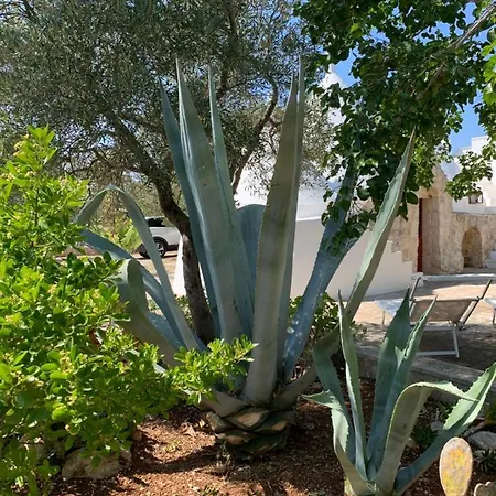 Trullo Tojo Holiday home *