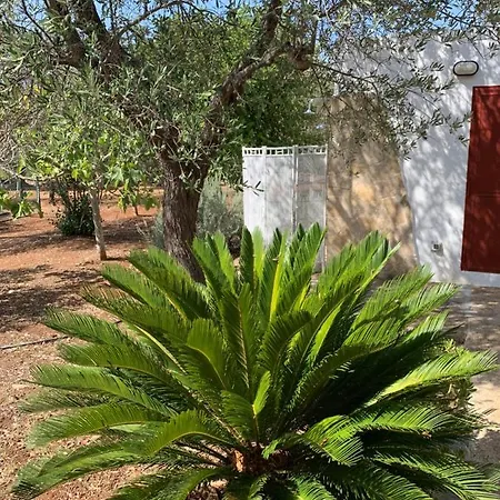 Trullo Tojo Holiday home *