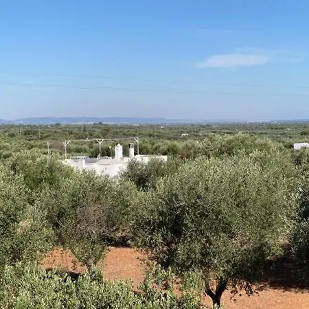 Trullo Tojo 奥斯图尼